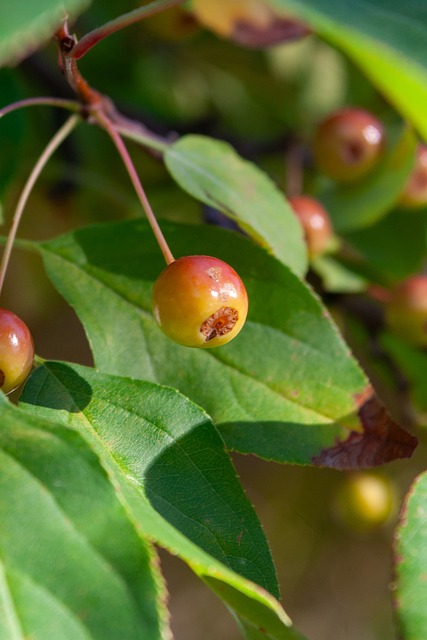 员们多年大 员们多年大
