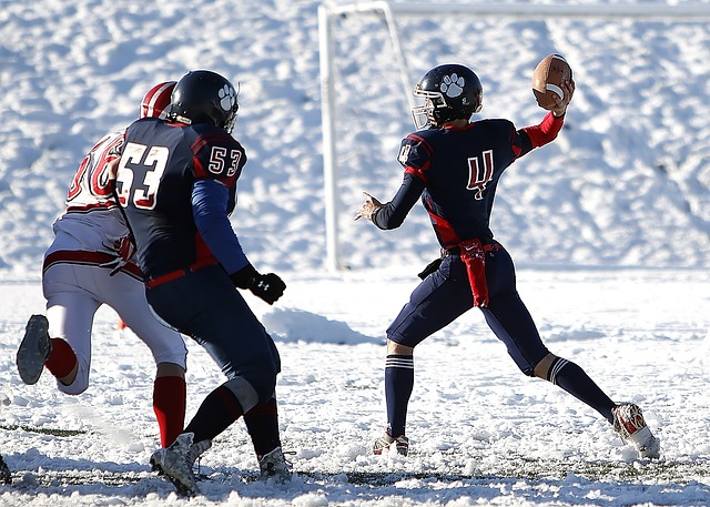 利参加滑雪 利参加滑雪