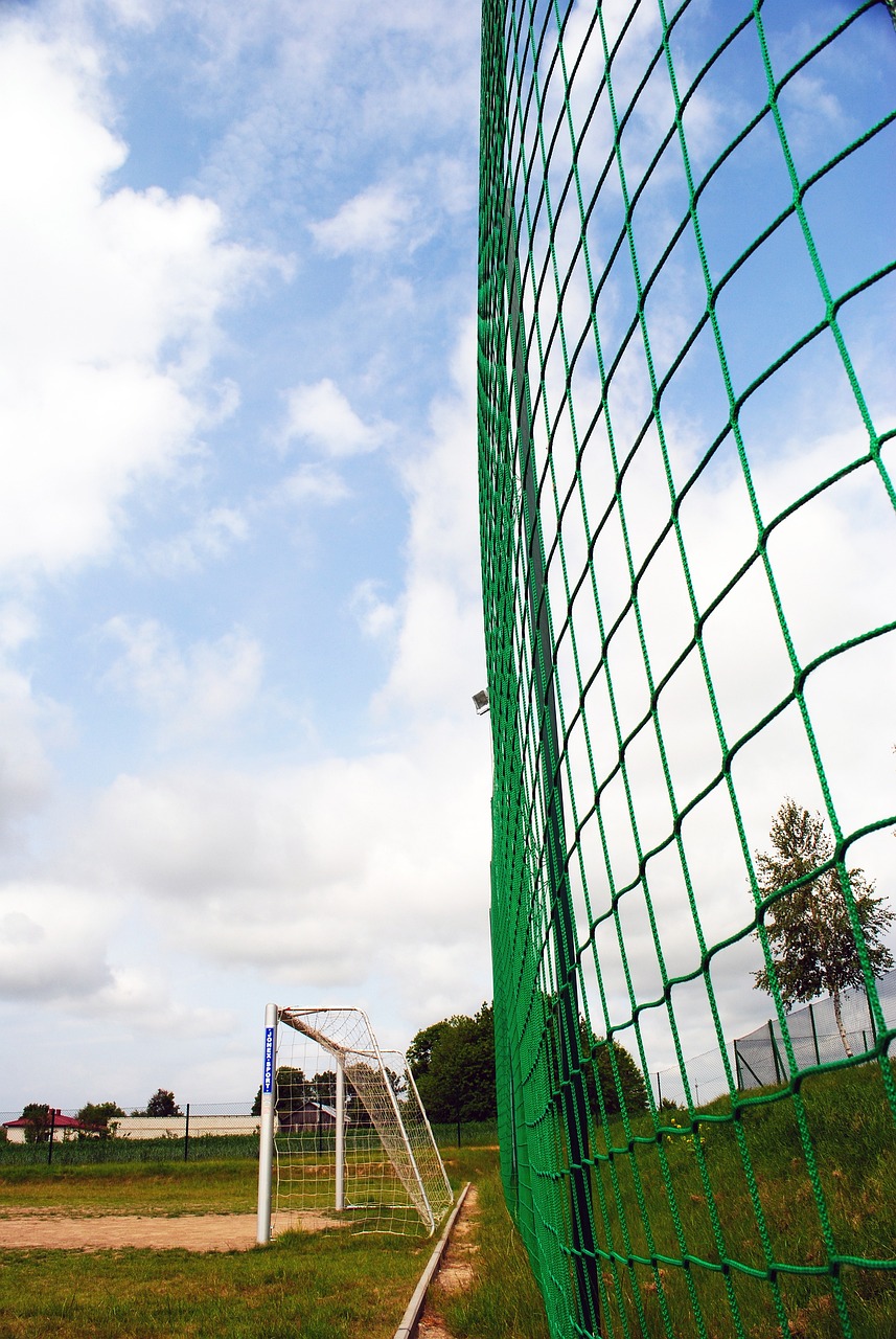 晖后续胜利 晖后续胜利