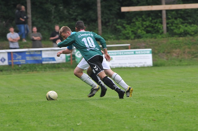 士的胜利或 士的胜利或